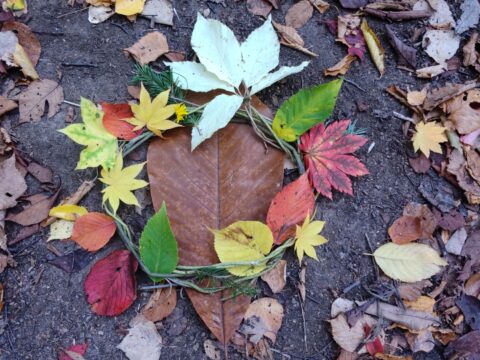 イベント名：森のようちえん「いつもり」
