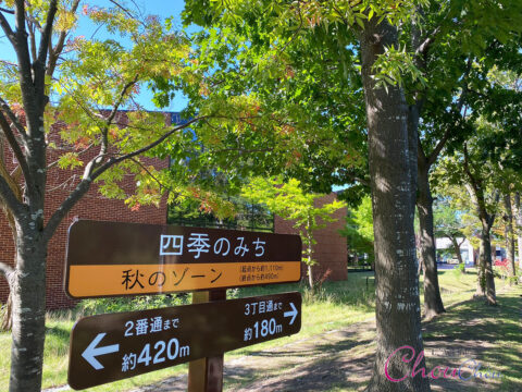 イベント名：はつらつ！四季のみちウォーキング