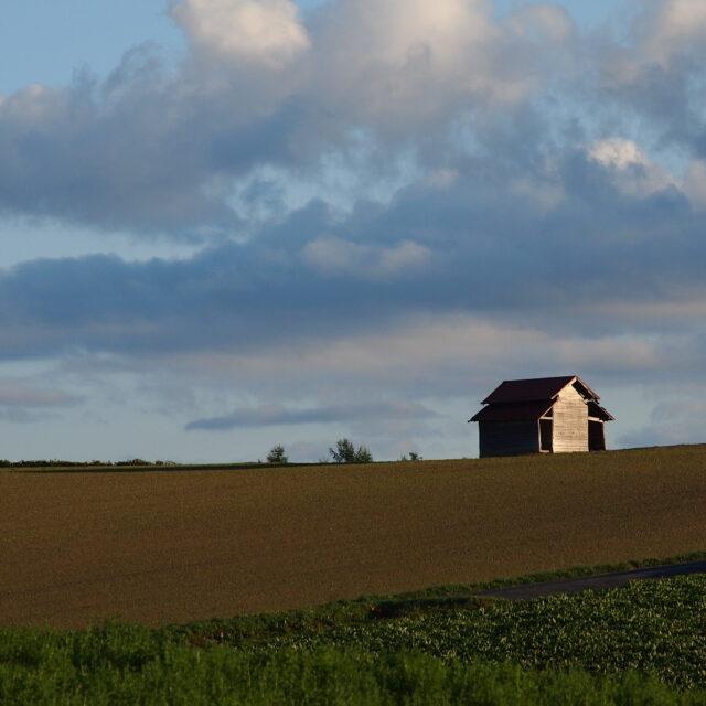 イベント名：sdff